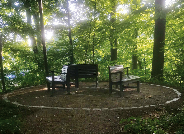 Das Lindenrondell in neuem Glanz // Foto: Hirschparkverein