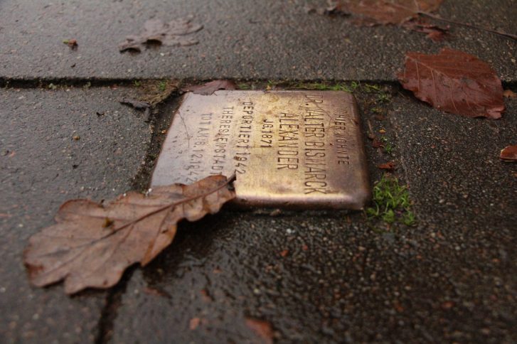 In Blankenese erinnern viele Stolpersteine an die Opfer des Nationalsozialismus. Am 7. November werden sie gepflegt und die Geschichten dahinter lebendig gehalten.