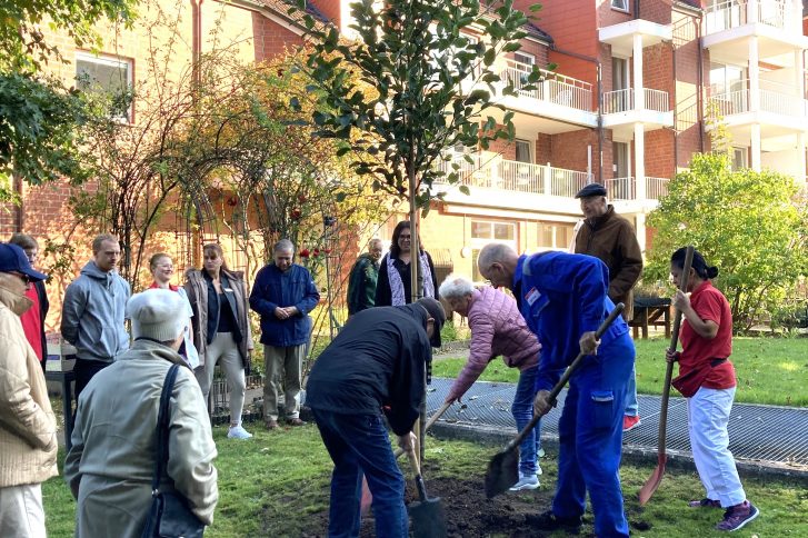 Baumpflanz-Challenge: Beim Einpflanzen des Apfelbaumes packten Bewohner und Mitarbeitende mit an. // Foto: Kursana