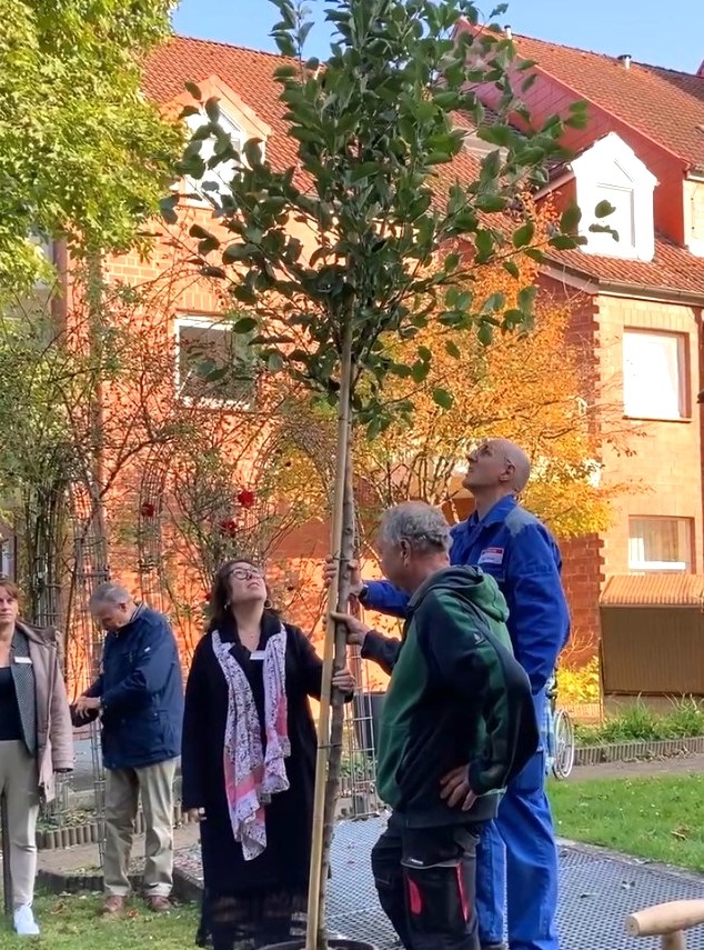 Direktorin Sabine Erichsen freute sich über den stattlichen Apfelbaum der Sorte Elstar, der im Innenhof der Kursana Residenz Wedel seinen Platz gefunden hat. // Foto: Kursana