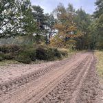 Hunderte Reitpferde sind im Umfeld des Klövensteen untergebracht – verteilt auf zahlreiche Reitställe, die das Gebiet rund um den Forst prägen. Um sichere Ausritte zu gewährleisten, wurden die Wege nun instand gesetzt. // Foto: Bezirksamt Altona