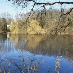 Der Ziegeleiteich ist immer wieder von Blaualgen belastet. // Foto: Foto: Pauli-Pirat/wikipedia.org