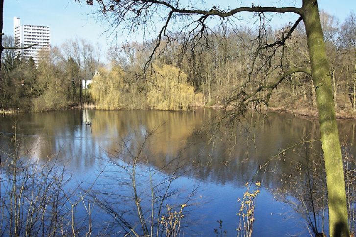 Der Ziegeleiteich ist immer wieder von Blaualgen belastet. // Foto: Foto: Pauli-Pirat/wikipedia.org