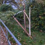 Foto zeigt die mutwillige Zerstörung der Esskastanie