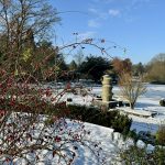 Öffentliche Wintervorträge im Botanischen Garten