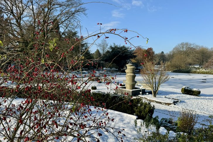 Öffentliche Wintervorträge im Botanischen Garten
