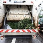 Weihnachtsbaumabholung 2025