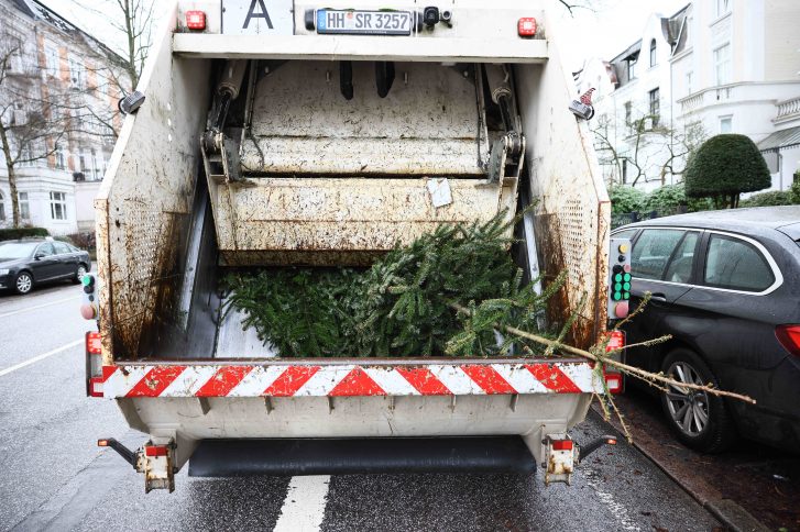 Weihnachtsbaumabholung 2025