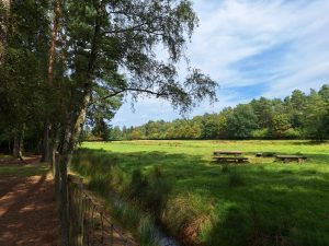 Wildgehege im Klövensteen