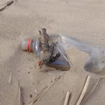 Kunststoffmüll am Strand Foto_ Regionalpark Wedeler Au e.V.