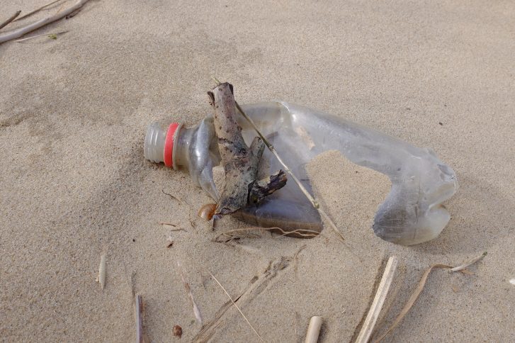 Kunststoffmüll am Strand Foto_ Regionalpark Wedeler Au e.V.