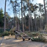 Kaputte Bäume auf dem Spielplatz im Klövensteen