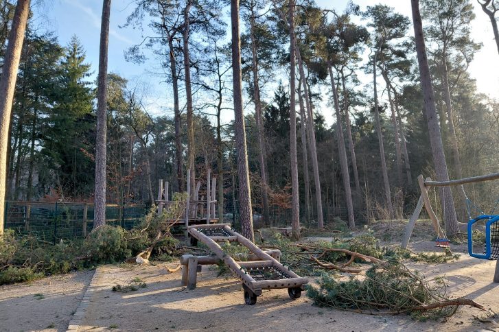 Kaputte Bäume auf dem Spielplatz im Klövensteen