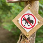 Reiten ist im Klövensteen gerade unerwünscht