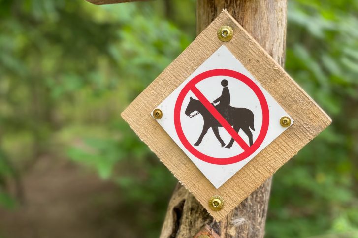 Reiten ist im Klövensteen gerade unerwünscht
