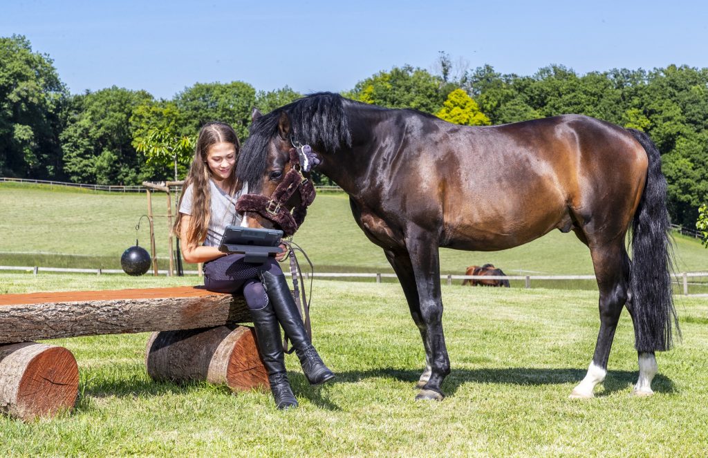 Ortsunabhängiges Lernen darf an der Alemannenschule Spaß machen.